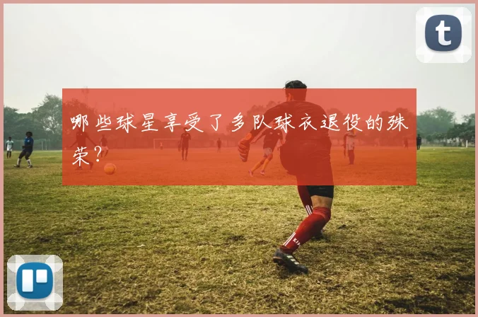 哪些球星享受了多队球衣退役的殊荣?